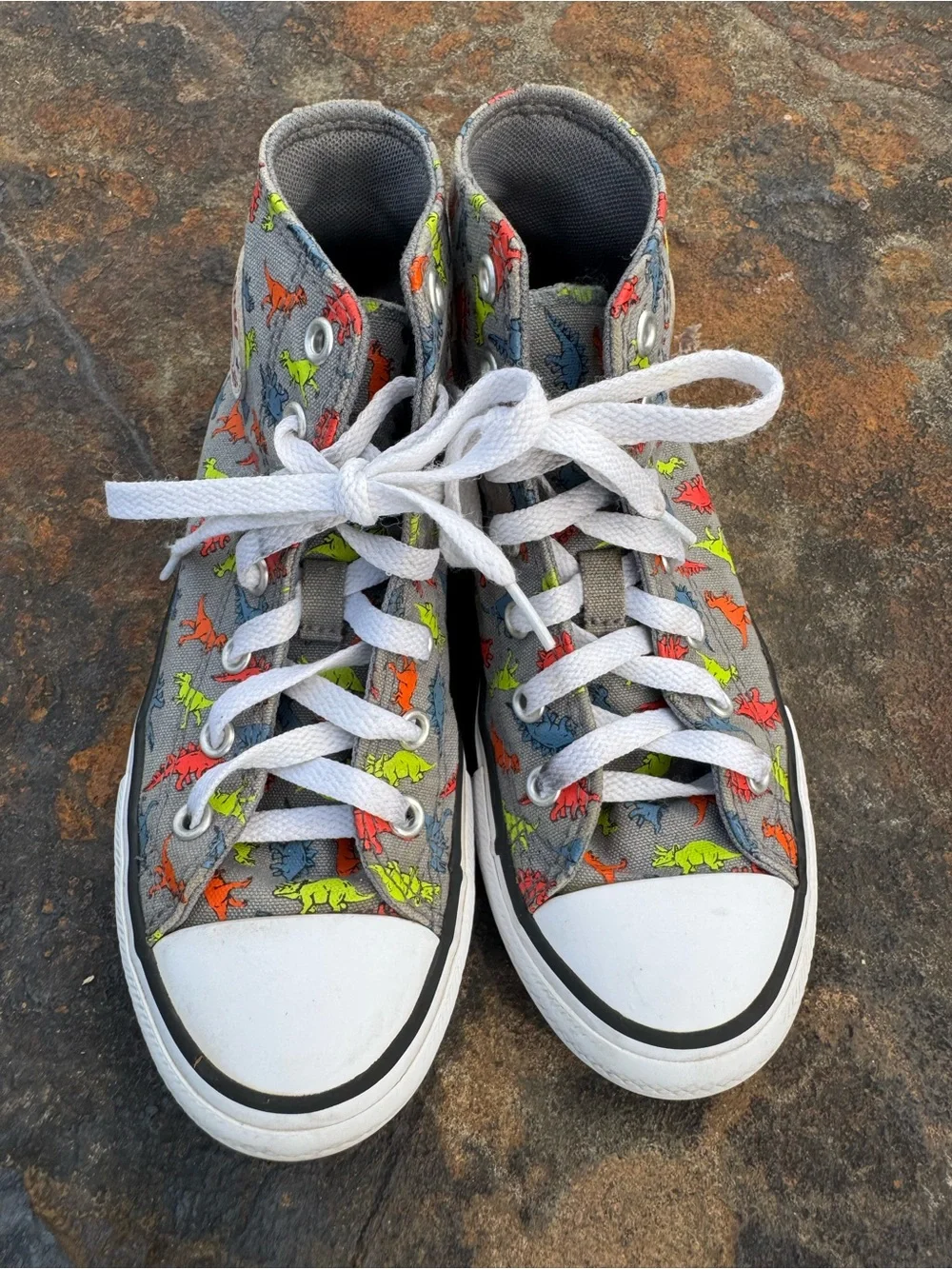 Converse Chuck Taylor Dinosaur All Star Dinoverse Hi-Top Gray Neon Kids US 2